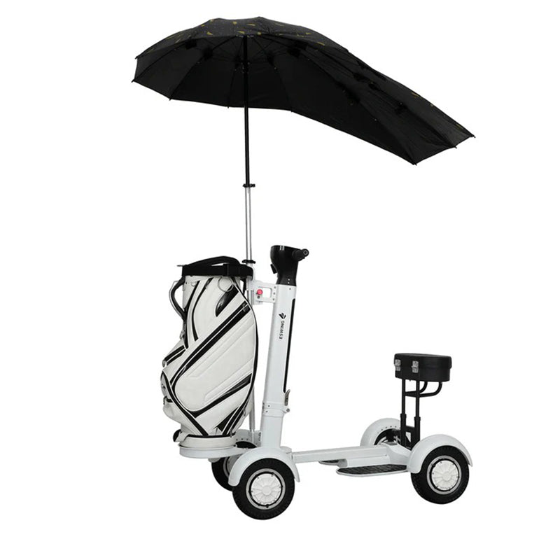 Golf Electric Balance Cart Scooter（US/EU stock）