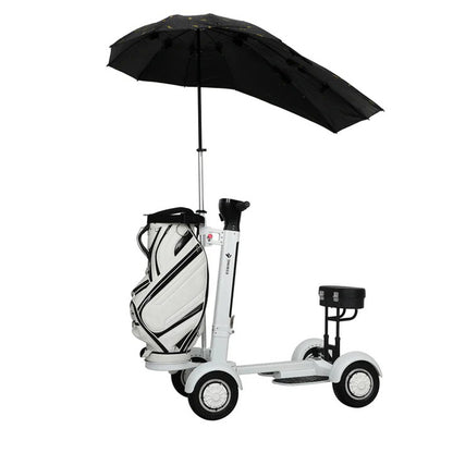 Golf Electric Balance Cart Scooter（US/EU stock）