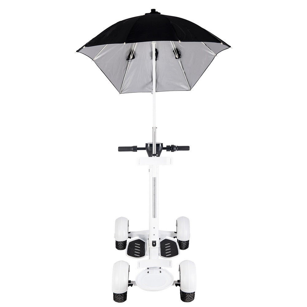 Golf Electric Balance Cart Scooter（US/EU stock）